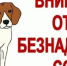 На территории Саянского района в период с 06.03.2025 г. по 30.12.2025 г. будут работать сотрудники по отлову животных без владельцев. - Саянский район
